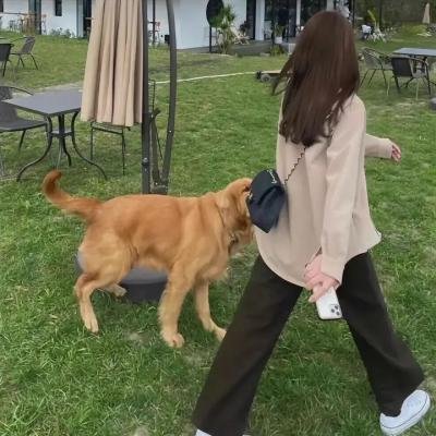 谜宫